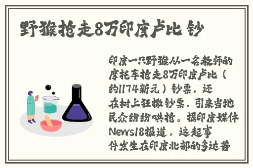 神秘电影网址